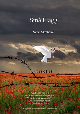 Små flagg (lydbok) av Svein Skotheim