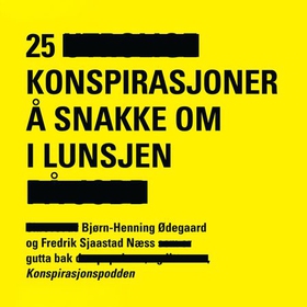 25 konspirasjoner å snakke om i lunsjen