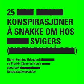 25 konspirasjoner å snakke om hos svigers (lydbok) av Fredrik Sjaastad Næss