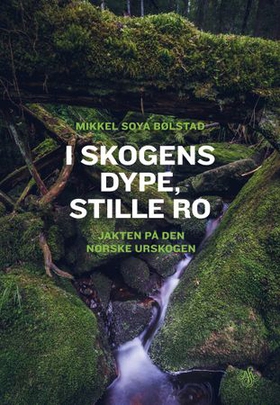 I skogens dype, stille ro - jakten på den norske urskogen (ebok) av Mikkel Soya Bølstad
