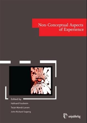 Non-conceptual aspects of experience (ebok) av -