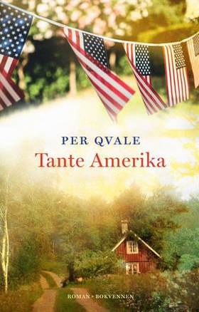 Tante Amerika (ebok) av Per Qvale