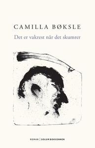 Det er vakrest når det skumrer (ebok) av Cami