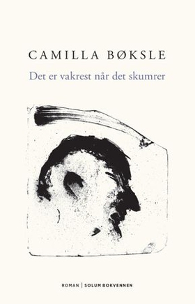 Det er vakrest når det skumrer - roman (ebok) av Camilla Bøksle