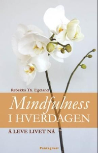 Mindfulness i hverdagen (ebok) av Rebekka Th.