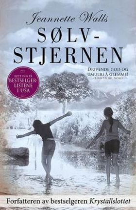 Sølvstjernen - en roman (ebok) av Jeannette Walls