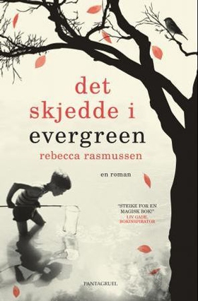 Det skjedde i Evergreen - en roman (ebok) av Rebecca Rasmussen