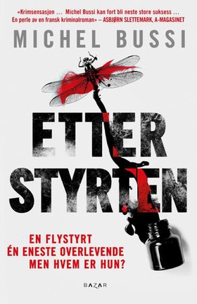 Etter styrten (ebok) av Michel Bussi