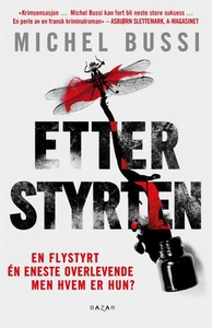 Etter styrten (ebok) av Michel Bussi