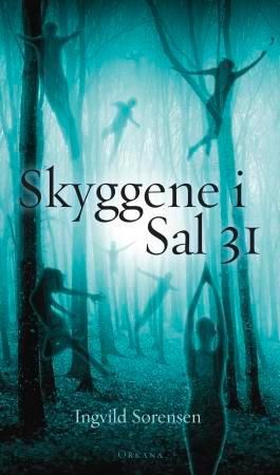 Skyggene i Sal 31 - roman (ebok) av Ingvild Sørensen