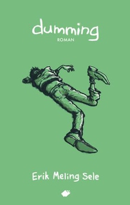 Dumming (ebok) av Erik Meling Sele