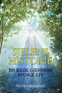 Sjelens historie (ebok) av Per Henrik Gullfos