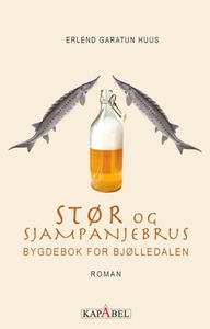 Stør og sjampanjebrus (ebok) av Erlend Garatu