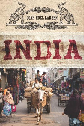 India (ebok) av Joar Hoel Larsen