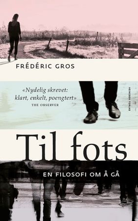 Til fots - en filosofi om å gå (ebok) av Frédéric Gros