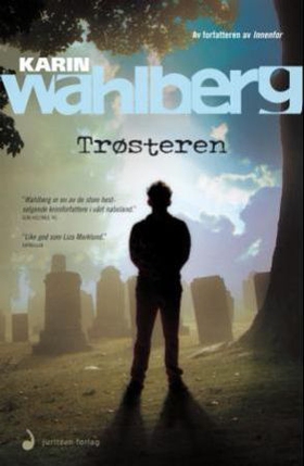 Trøsteren - kriminalroman (ebok) av Karin Wahlberg