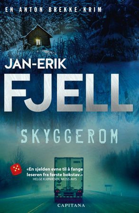 Skyggerom - krim (ebok) av Jan-Erik Fjell