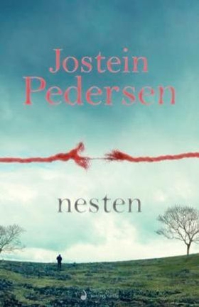 Nesten (ebok) av Jostein Pedersen