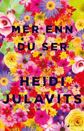 Mer enn du ser - roman (ebok) av Heidi Julavits
