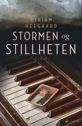 Stormen og stillheten (ebok) av Miriam Neegaard