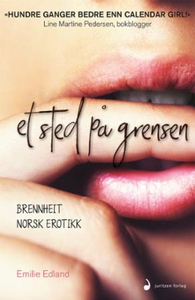 Et sted på grensen (ebok) av Emilie Edland