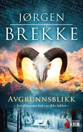 Avgrunnsblikk - kriminalroman (ebok) av Jørgen Brekke
