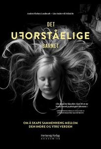 Det uforståelige barnet (ebok) av Anders Flæk