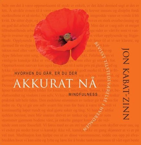 Akkurat nå (ebok) av Jon Kabat-Zinn