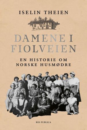 Damene i Fiolveien - en historie om norske husmødre (ebok) av Iselin Theien