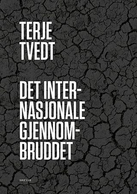 Det internasjonale gjennombruddet - fra ettpartistat til flerkulturell stat (ebok) av Terje Tvedt
