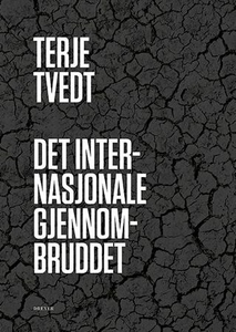 Det internasjonale gjennombruddet (ebok) av T