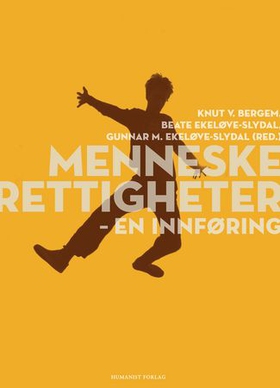 Menneskerettigheter - en innføring (ebok) av Knut V. Bergem