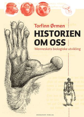 Historien om oss - menneskets biologiske utvikling (ebok) av Torfinn Ørmen