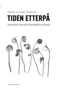 Tiden etterpå (ebok) av