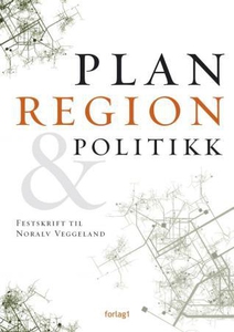 Plan, region & politikk (ebok) av