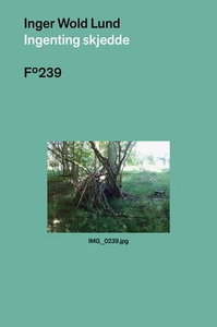 Ingenting skjedde (ebok) av Inger Wold Lund