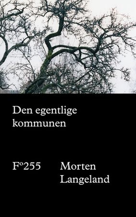 Den egentlige kommunen (ebok) av Morten Langeland