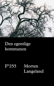 Den egentlige kommunen (ebok) av Morten Lange