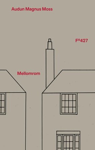 Mellomrom (ebok) av Audun Magnus Moss