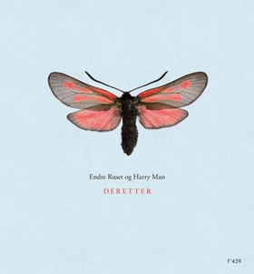 Deretter (ebok) av Harry Man, Endre Ruset