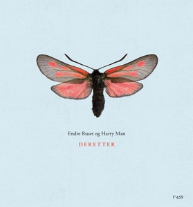 Deretter (ebok) av Harry Man, Endre Ruset