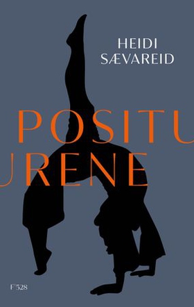 Positurene - roman (ebok) av Heidi Sævareid