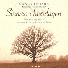 Sinnsro i hverdagen - finn ro i deg selv - når som helst og hvor som helst (lydbok) av Nancy O'Hara