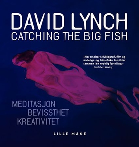 Catching the big fish - meditasjon - kreativitet - bevisshet (lydbok) av David Lynch