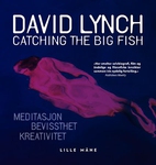 Catching the big fish - meditasjon - kreativitet - bevisshe…