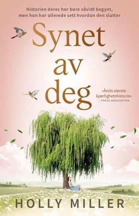 Synet av deg