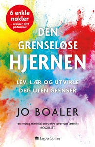 Den grenseløse hjernen (ebok) av Jo Boaler