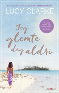 Jeg glemte deg aldri (ebok) av Lucy Clarke