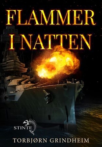 Flammer i natten (ebok) av Torbjørn Grindheim
