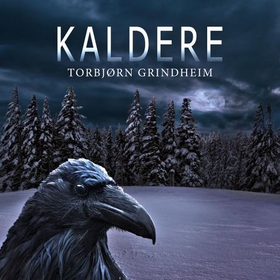 Kaldere (lydbok) av Torbjørn Grindheim